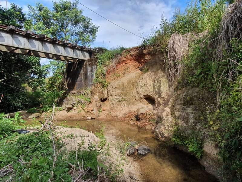 Flooding assessment of Rail bridge due to erosion