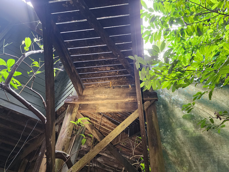Inspection of timber Frame