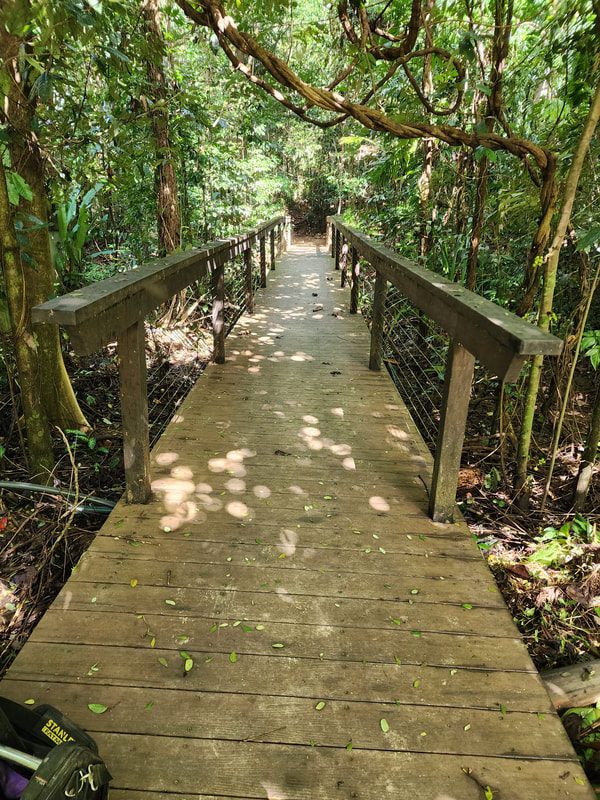 Structural inspection of boardwalks