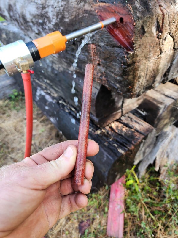 hardwood core sample obtained via core drilling