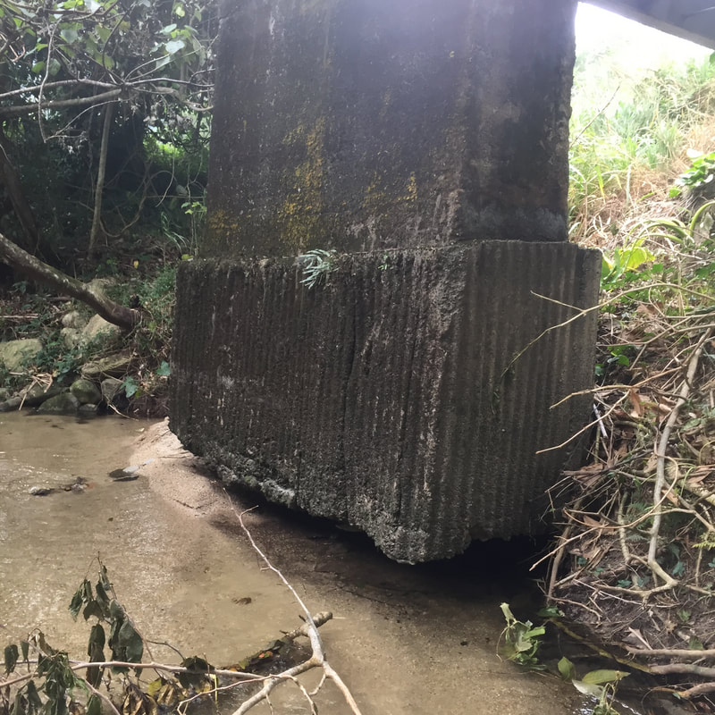 Impact assessment of bridge pier due to changing water course