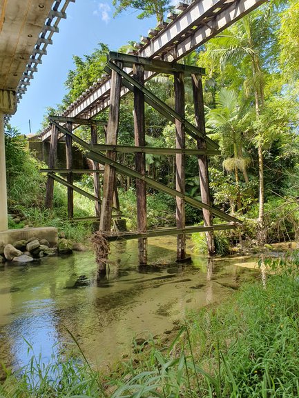 Inspection and certification of timber bridges