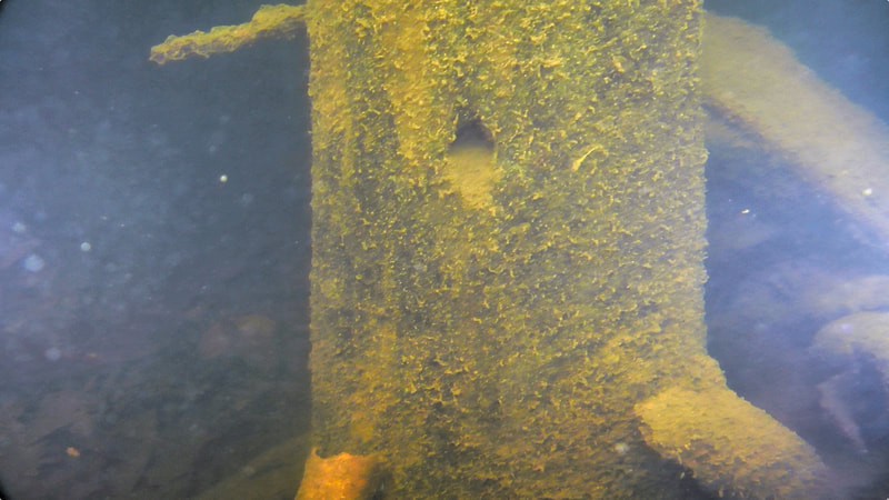 Underwater inspection of timber piles queensland